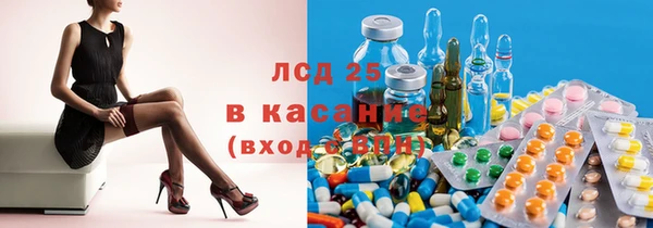 крисы Баксан