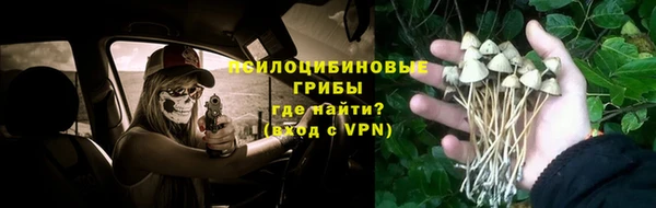 а пвп мука Балабаново