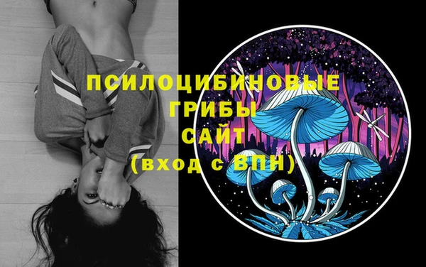 spice Балахна