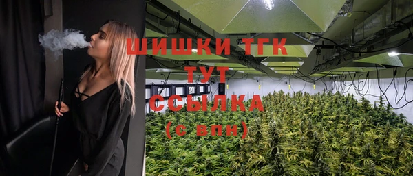 крисы Баксан