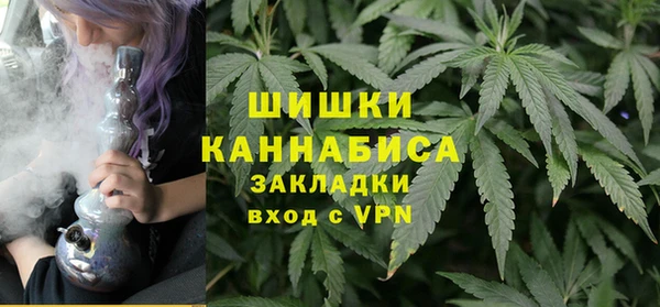 крисы Баксан