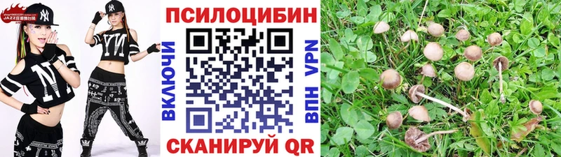 Галлюциногенные грибы Psilocybine cubensis  Красноуральск 